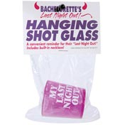 Bachelor's Or Bachelorette's Last Night Out Shot Glass
