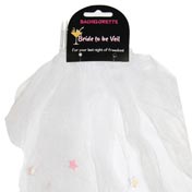 Bride To Be Veil with Decorations (White)