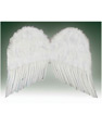 ANGEL 22" FEATHER WINGS