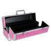 Large lockable vibrator case - pink