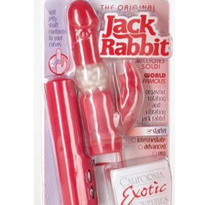 Jack Rabbit