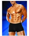 Male power pouch shorts black l/x