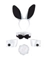 Sexyn Bunny Accessories kit